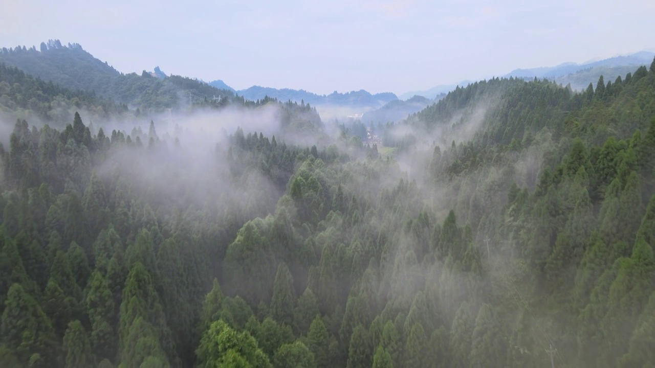 早晨山谷中的云雾视频素材