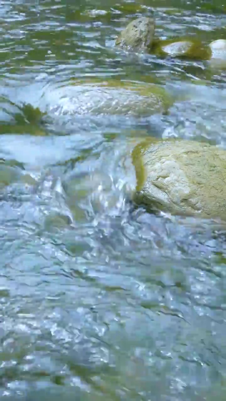 小溪 石头 水流 清澈 流动视频素材