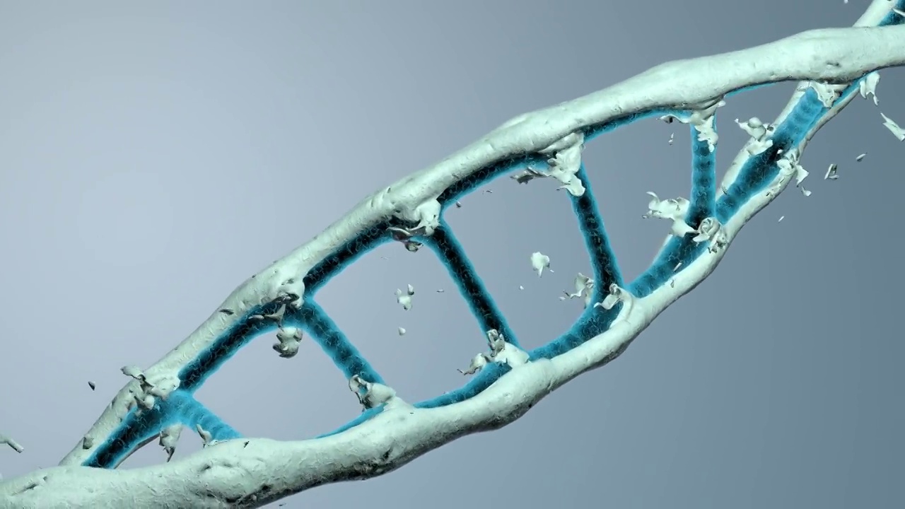 DNA分解视频素材