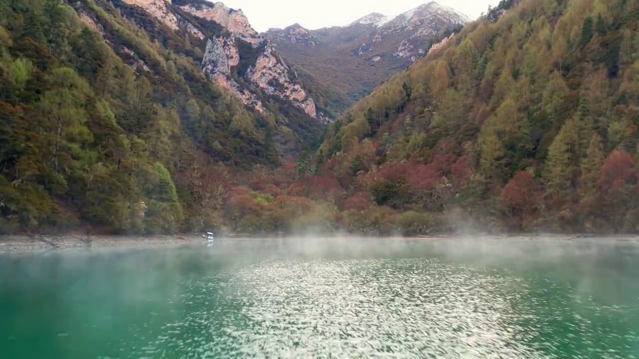 四川川西甘孜昌坝海森林雪山风光视频素材