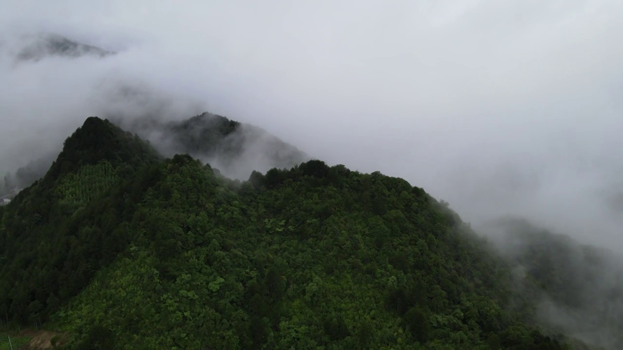 航拍山中雨后的云雾视频素材