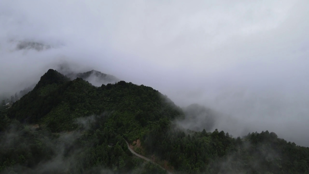 航拍山中雨后的云雾视频素材