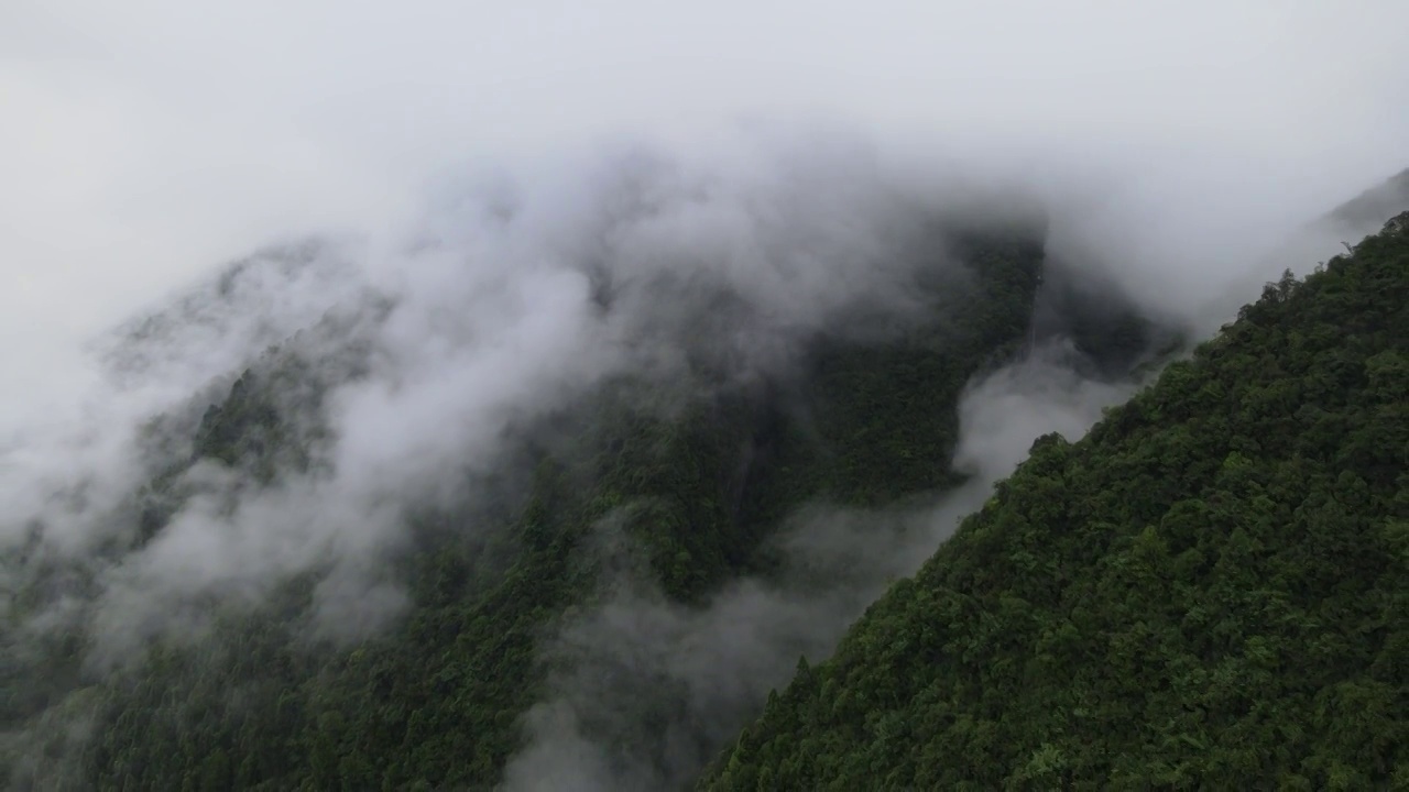 航拍山中雨后的云雾视频素材