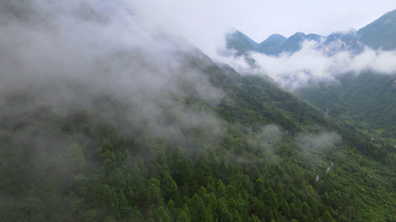 航拍山中云海视频素材