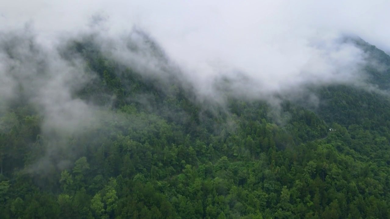 航拍山中云海视频素材