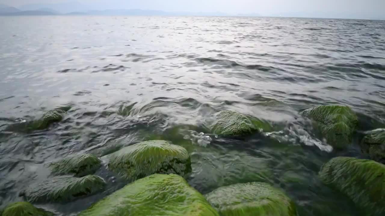 航拍云南大理洱海风光视频素材