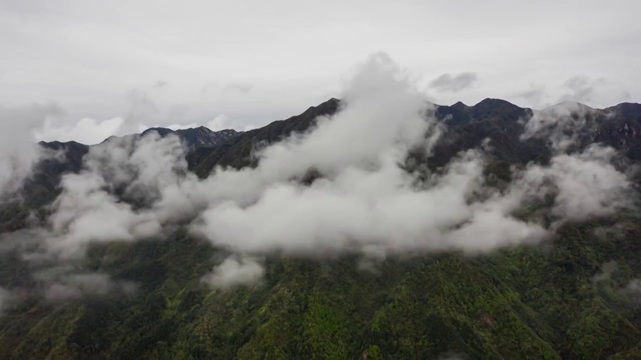 航拍雨后山间的云雾视频下载