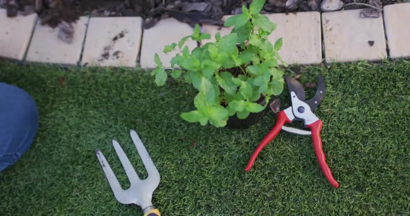 非洲裔美国妇女用铲子种植植物的特写镜头视频素材