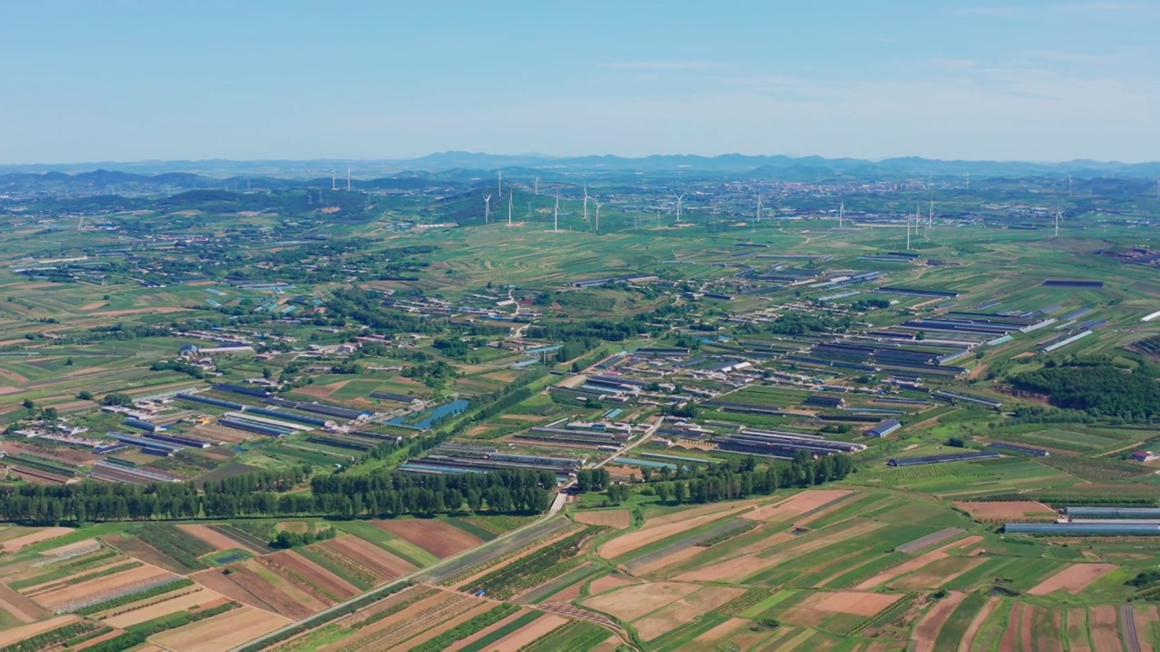 田地,农场,牧场,绿色,夏天,耕地视频素材