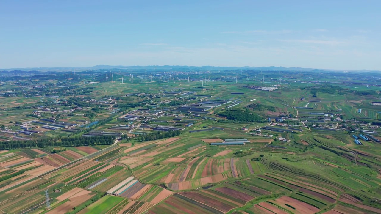 田地,农场,牧场,绿色,夏天,耕地视频素材