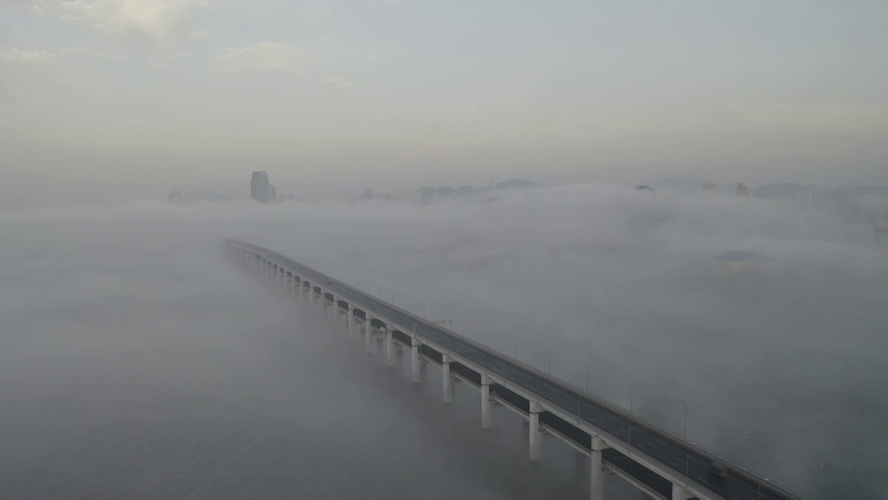 大连,星海湾跨海大桥,都市风光,户外,平流雾,星海湾视频素材