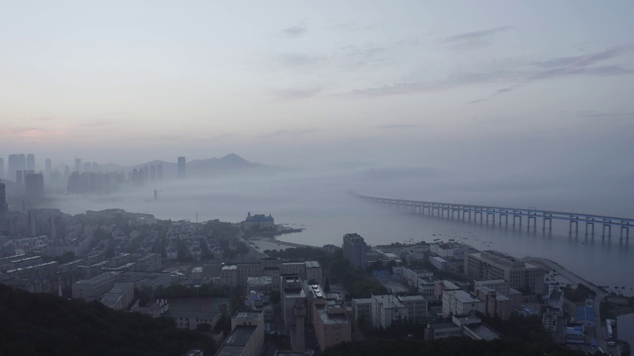 大连,星海湾跨海大桥,都市风光,户外,平流雾,星海湾视频素材