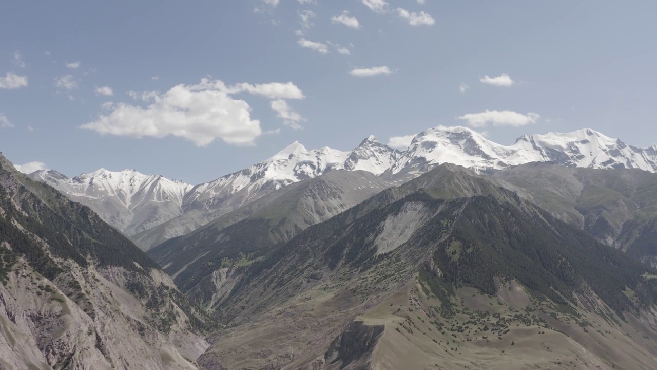 草原,帕米尔高原,湿地,慕士塔格,雪山,公格尔九别峰视频素材