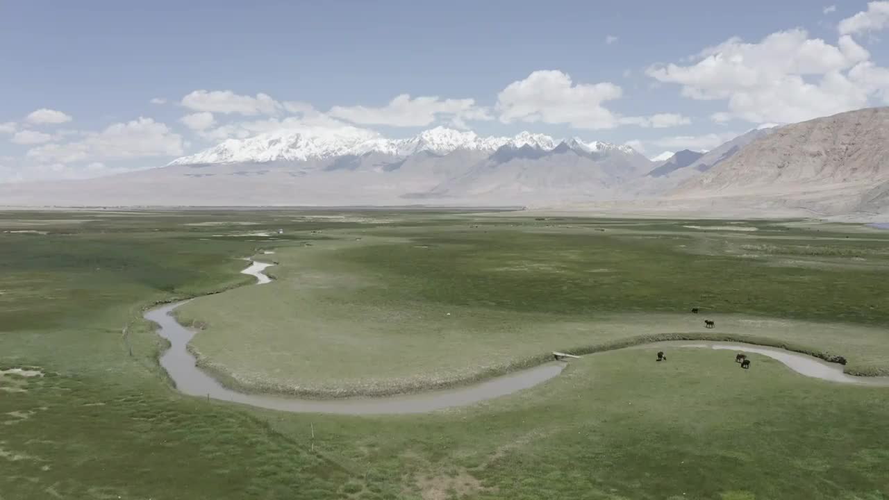 草原,帕米尔高原,湿地,慕士塔格,雪山,公格尔九别峰视频素材