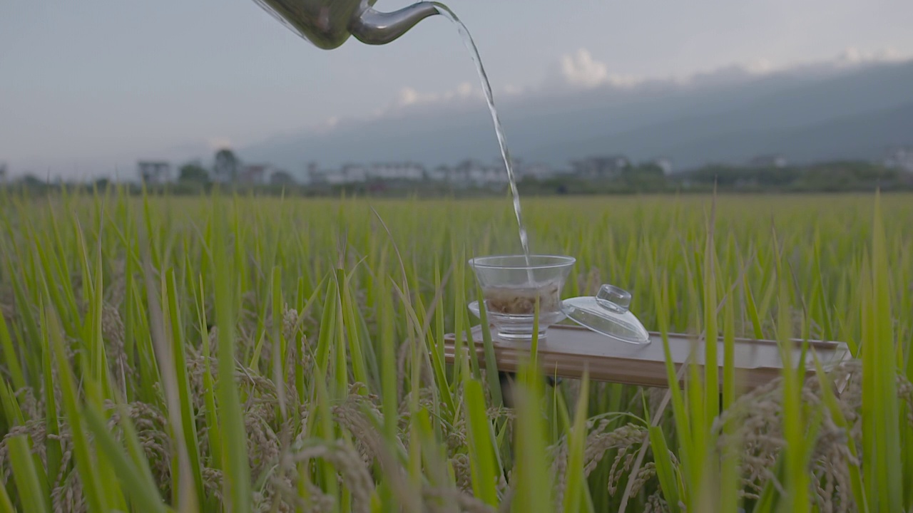 云南大理非遗白族三道茶视频素材