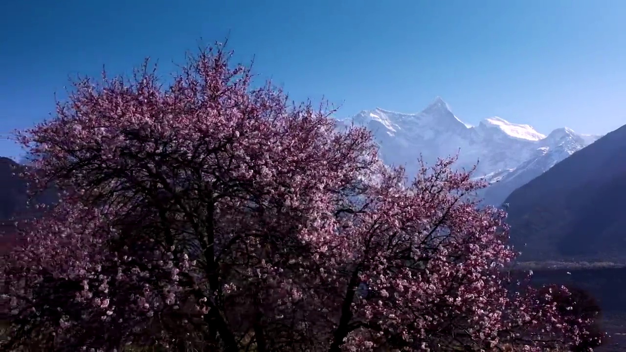 航拍西藏南迦巴瓦雪山视频素材