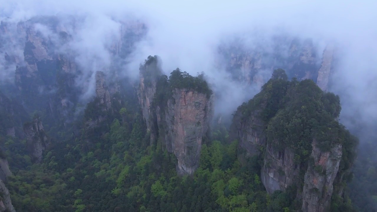 云雾中俯拍张家界的奇峰怪石，绿树森林视频素材