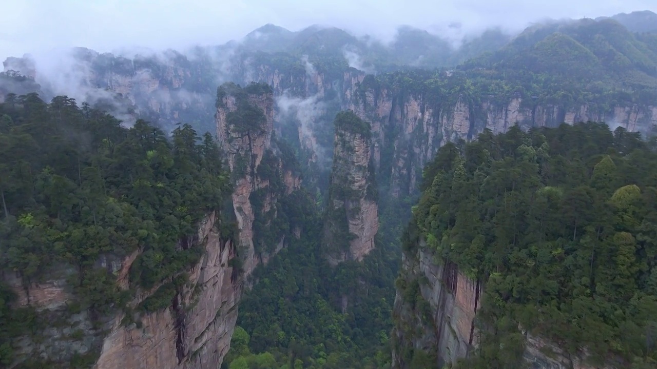 航拍张家界的云海峡谷视频素材