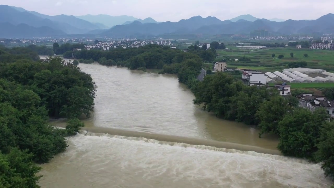 洪水视频下载