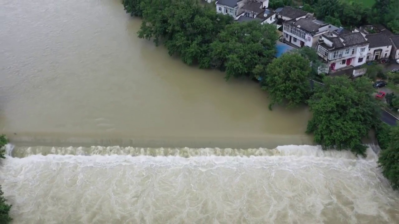 洪水视频下载