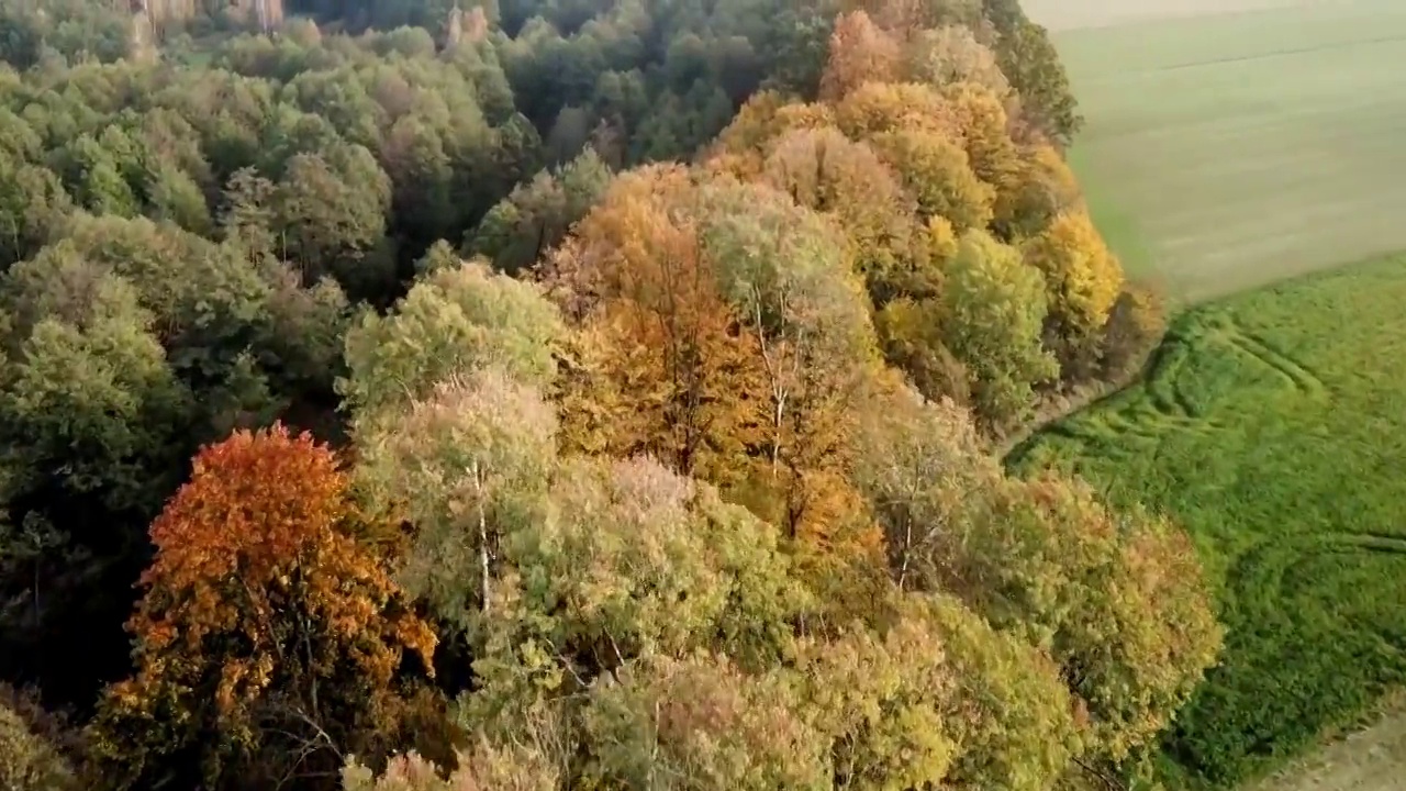 秋天的风景，户外的公园视频下载