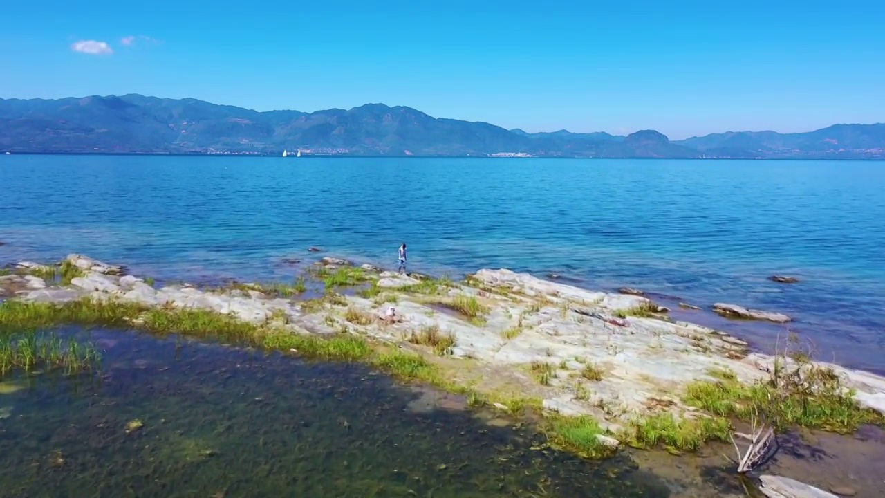 航拍夏天的中国云南玉溪抚仙湖湿地风光视频素材