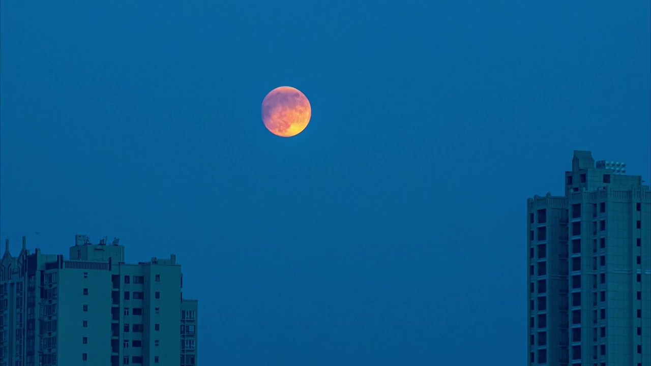 城市天空上初升的圆月视频素材