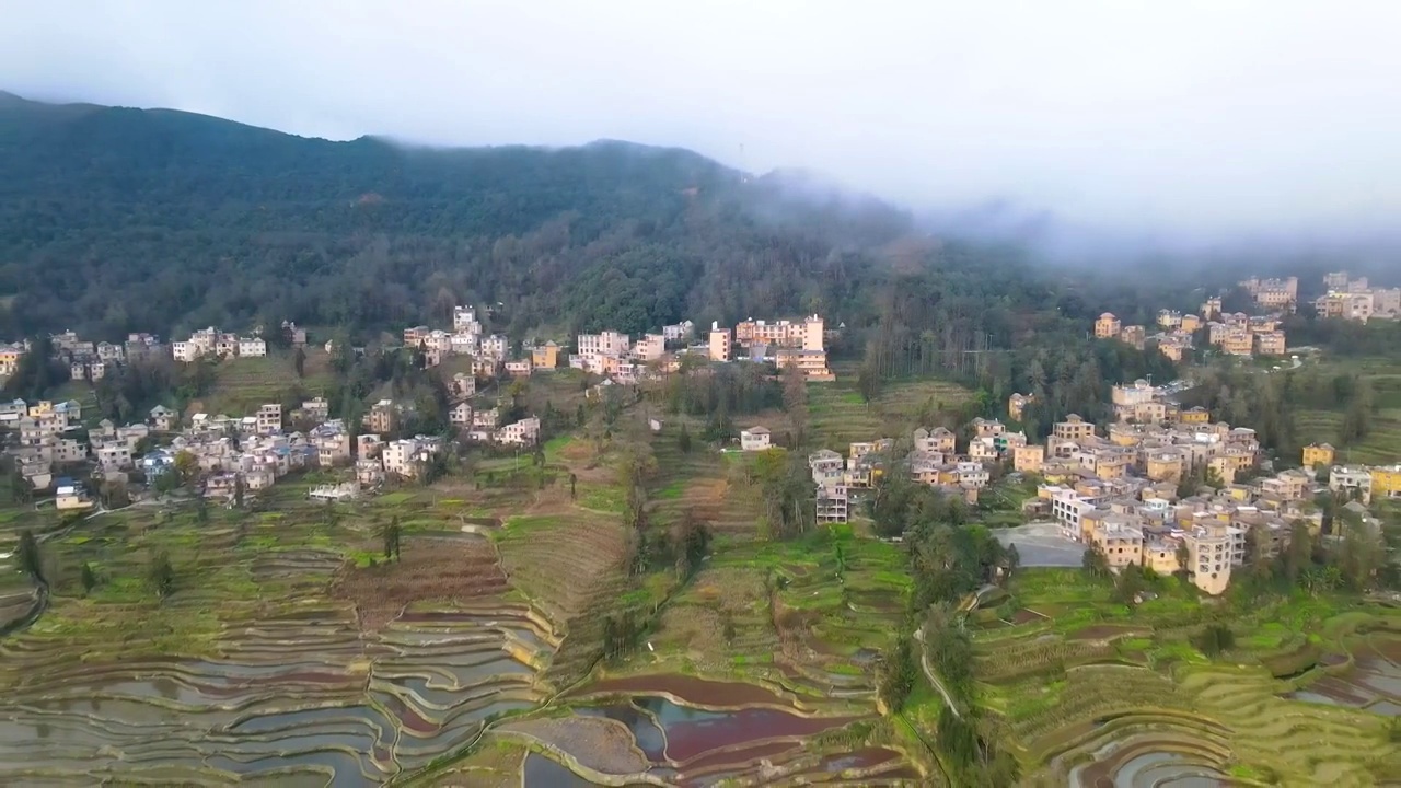 航拍云南哈尼梯田多依树景区视频素材