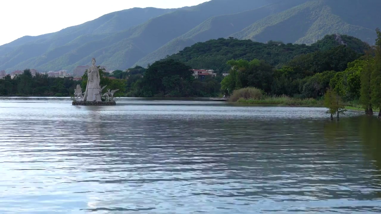 广东肇庆端州区七星岩风景区 仙女湖 落羽杉 水杉 湖泊视频素材