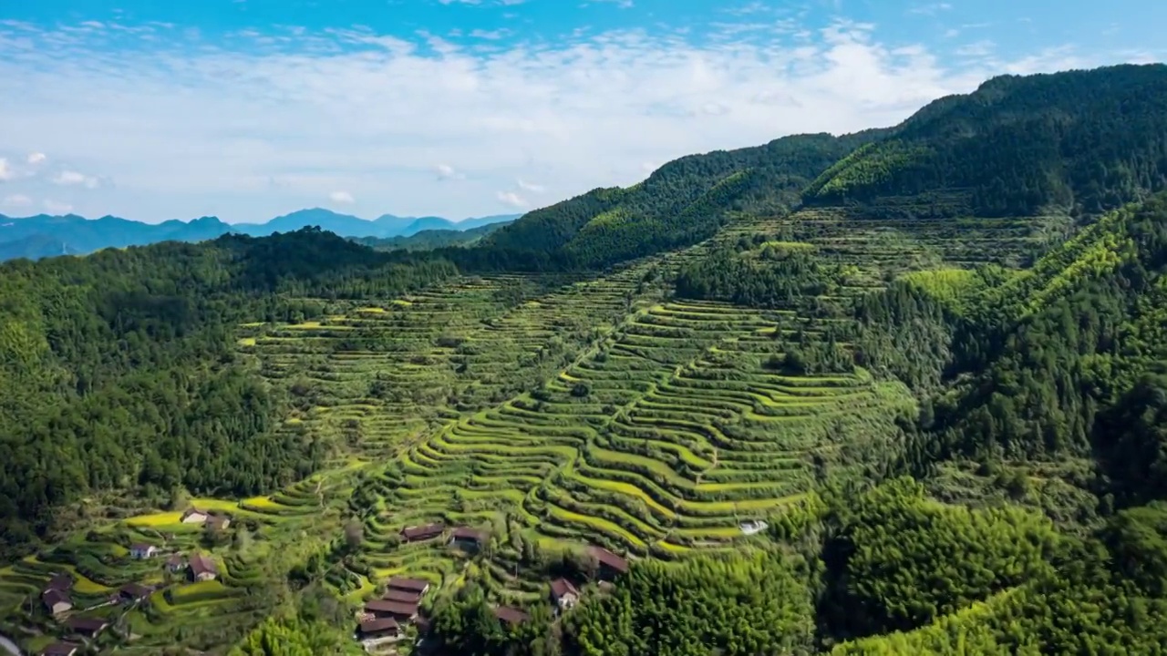 景宁大地乡梯田延时视频素材