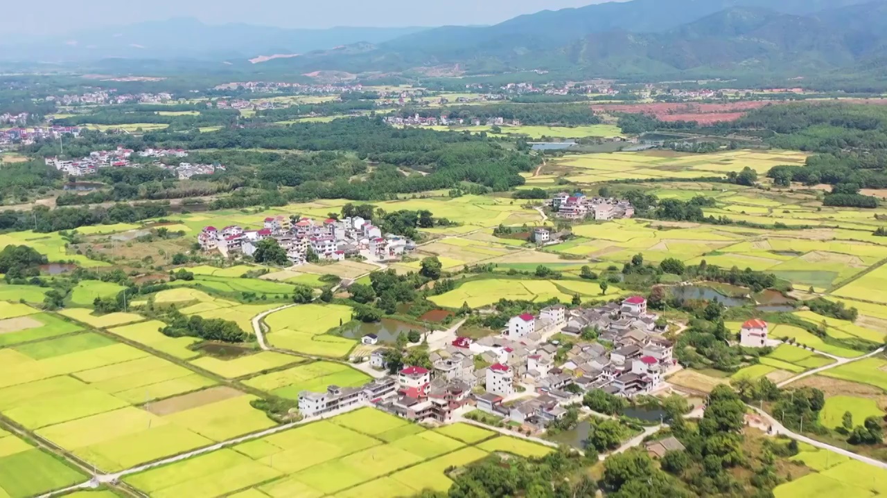 航拍江西吉安新圩镇稻田视频素材