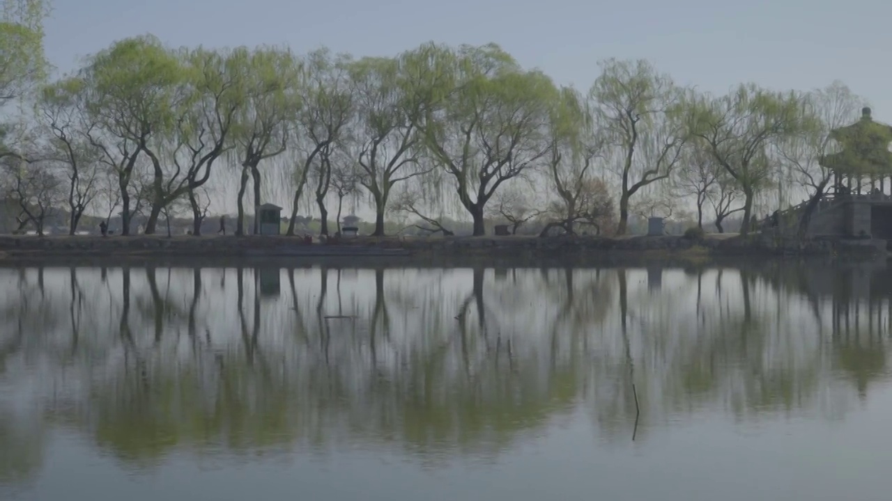 翠缇春晓视频素材