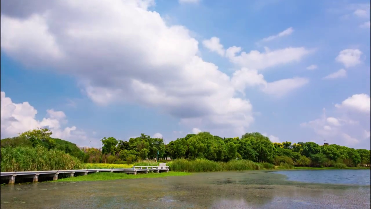 虎丘湿地 延时云景视频素材