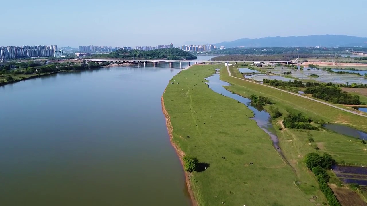 航拍江西吉安禾泸水沿岸湿地视频素材