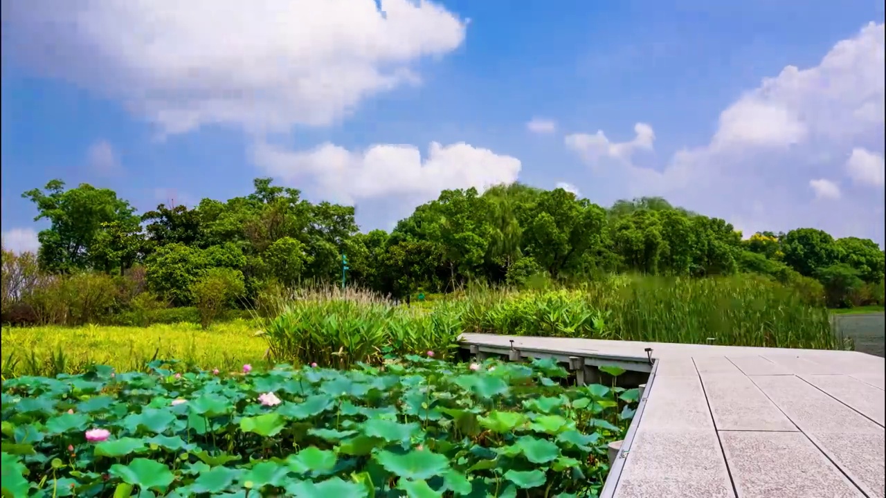 苏州三角嘴湿地景点延时视频素材