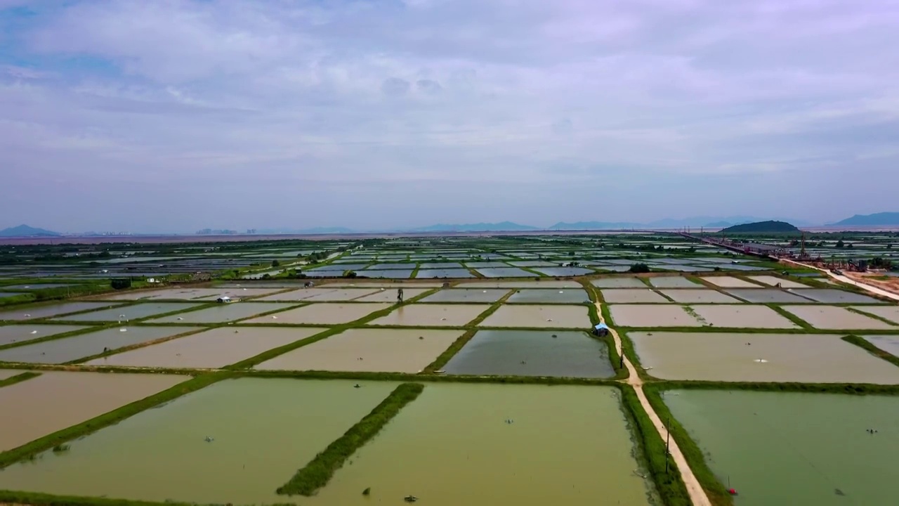 阡陌纵横的广东海边水产养殖场视频素材