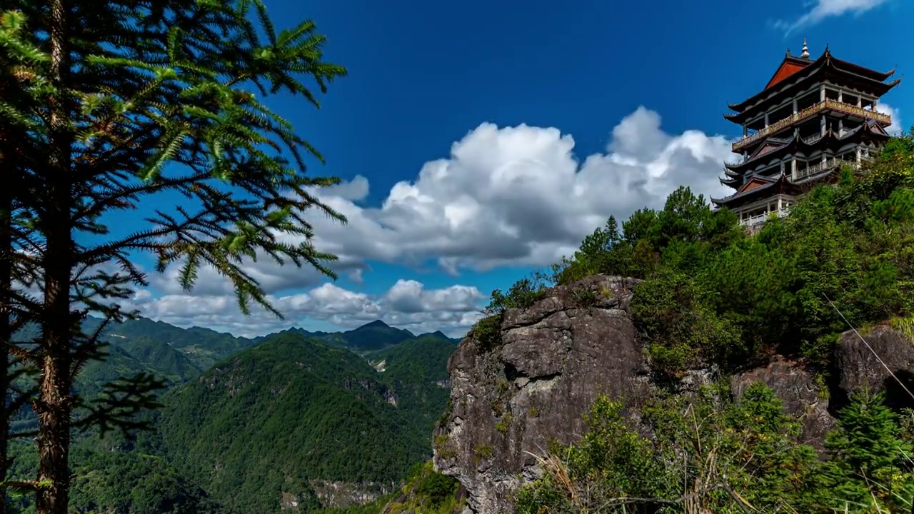 福建 周宁 松树 白云视频素材