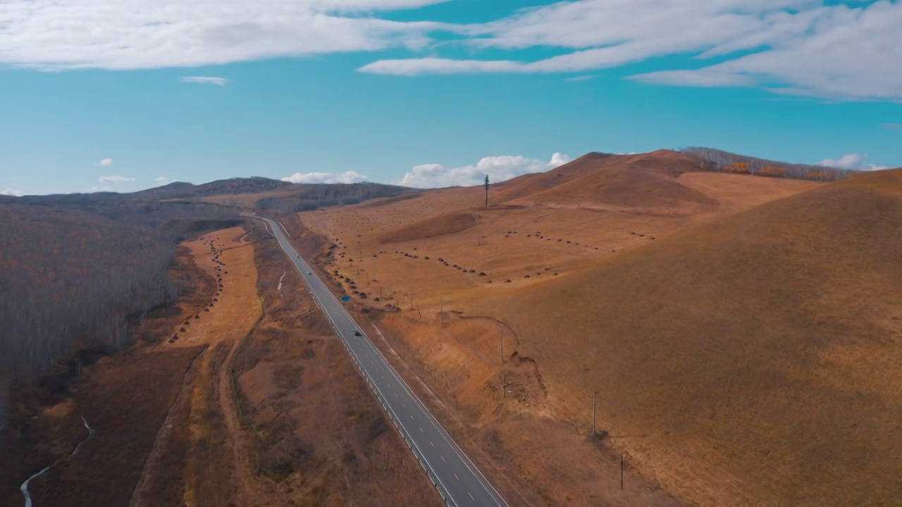 白桦林航拍公路汽车行驶沙漠视频素材