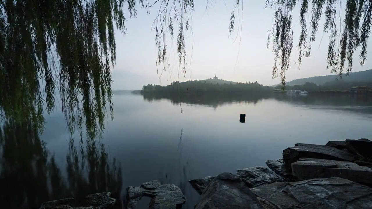 苏堤日出_前景柳条视频素材