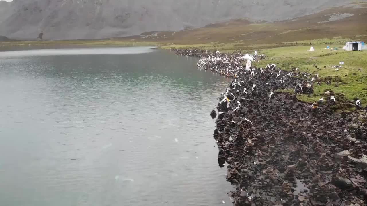 航拍西藏“财神湖”思金拉错，无人机沿湖岸低空飞行，玛尼堆视频素材