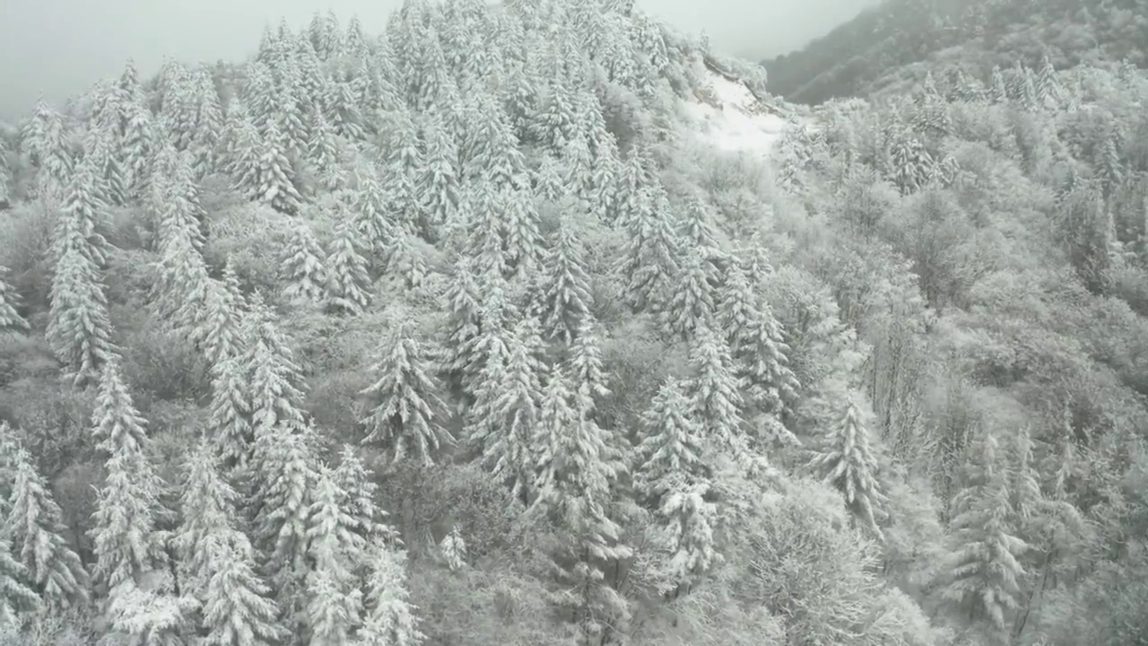 分水岭视频素材