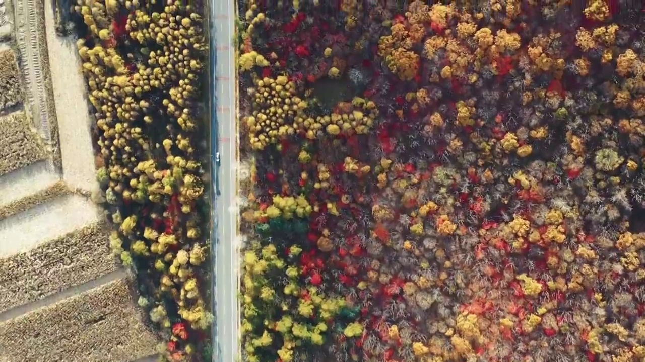 东北辽宁本溪秋季风光航拍视频素材