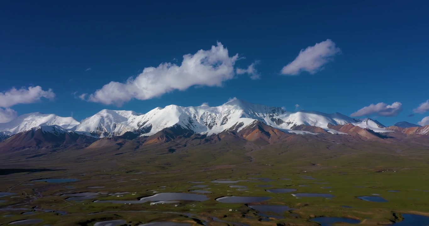 阿尼玛卿雪山下的牧场视频素材