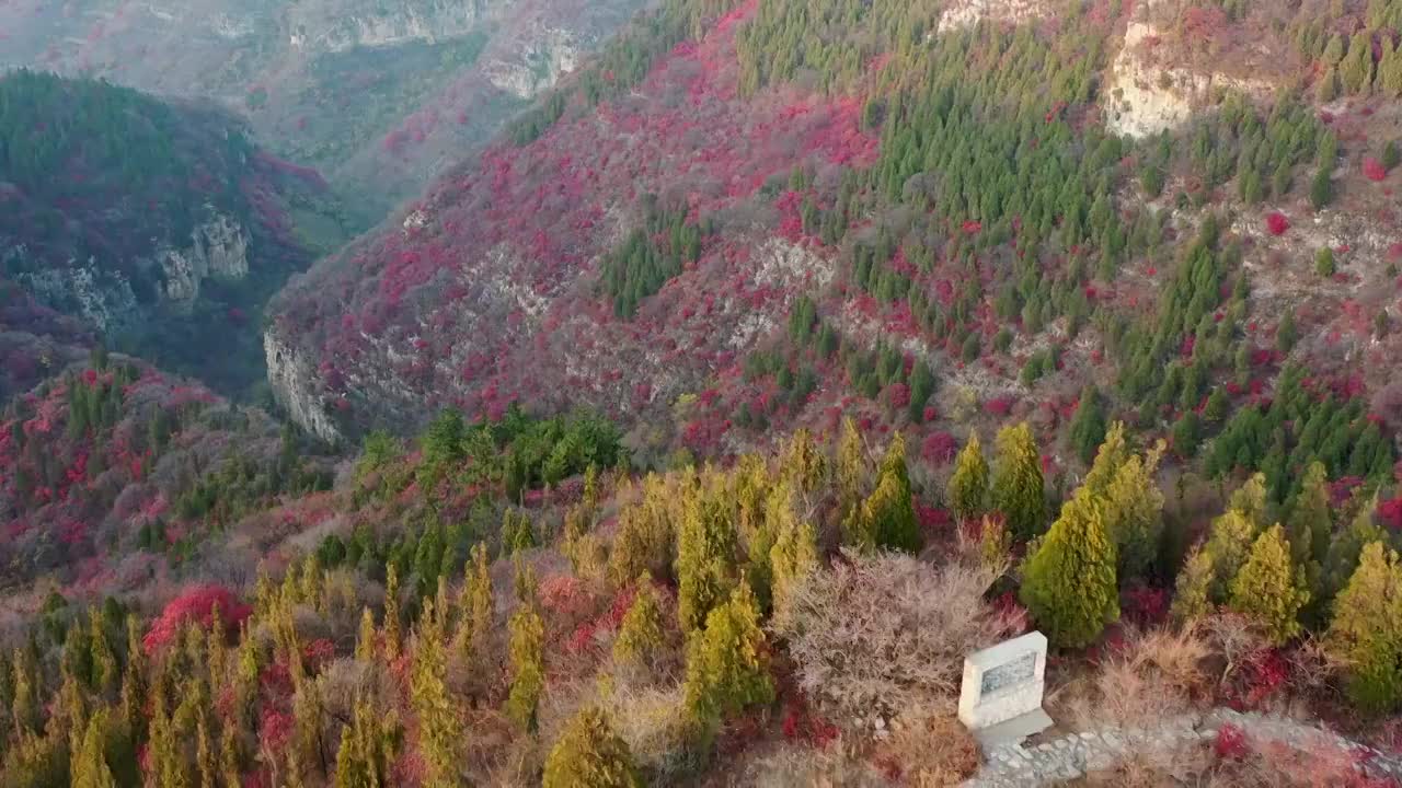 山东青州市仰天山森林公园秋季风光视频素材