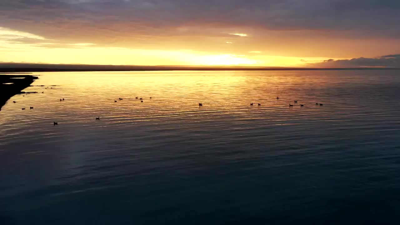 青海省海北藏族自治州青海湖景区日出航拍视频素材