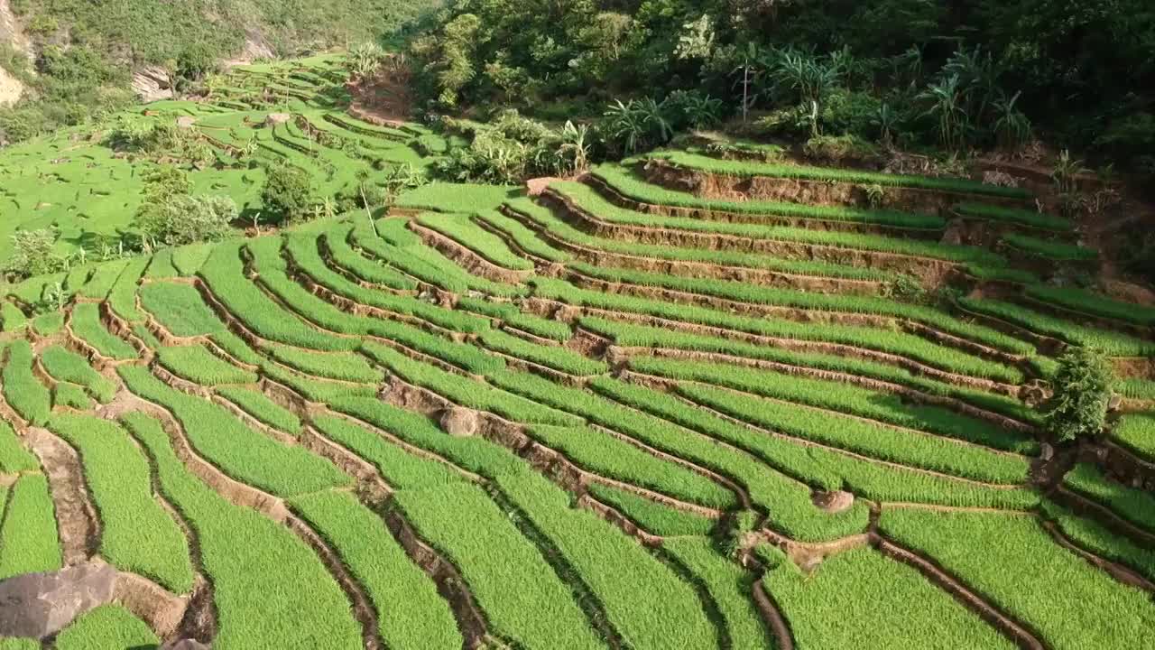 云南省玉溪市元江县梯田风光视频素材