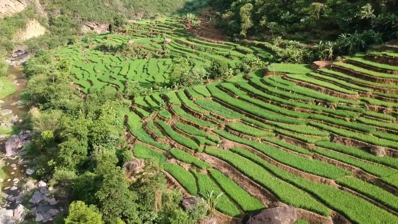 云南省玉溪市元江县梯田风光视频素材