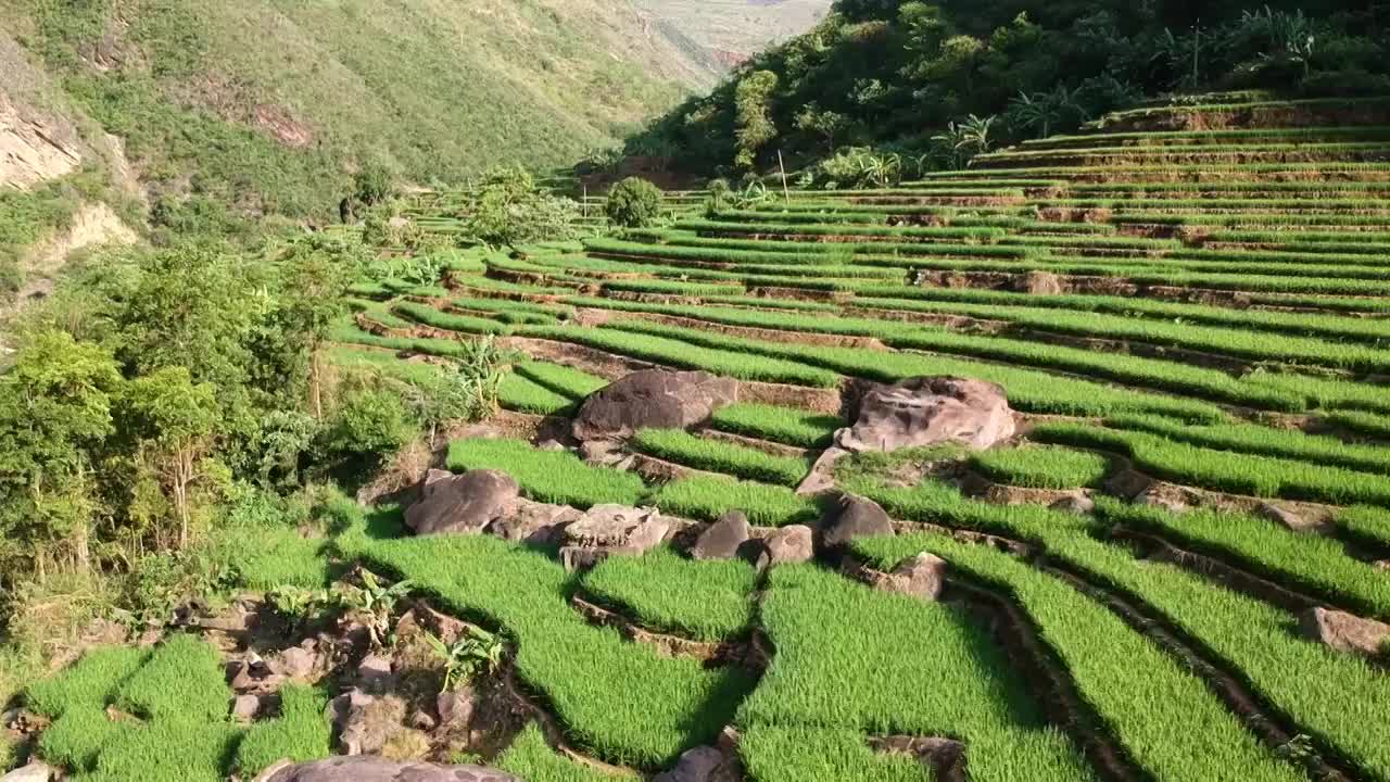 云南省玉溪市元江县梯田风光视频素材