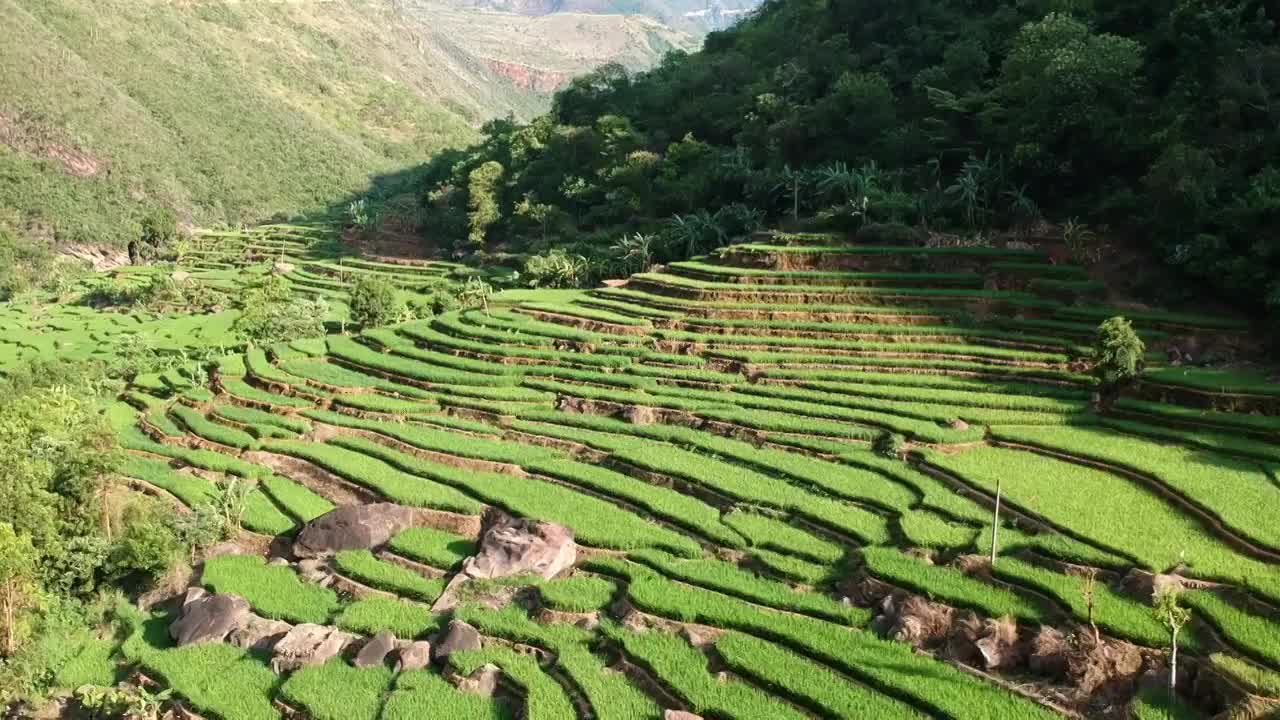 云南省玉溪市元江县梯田风光视频素材