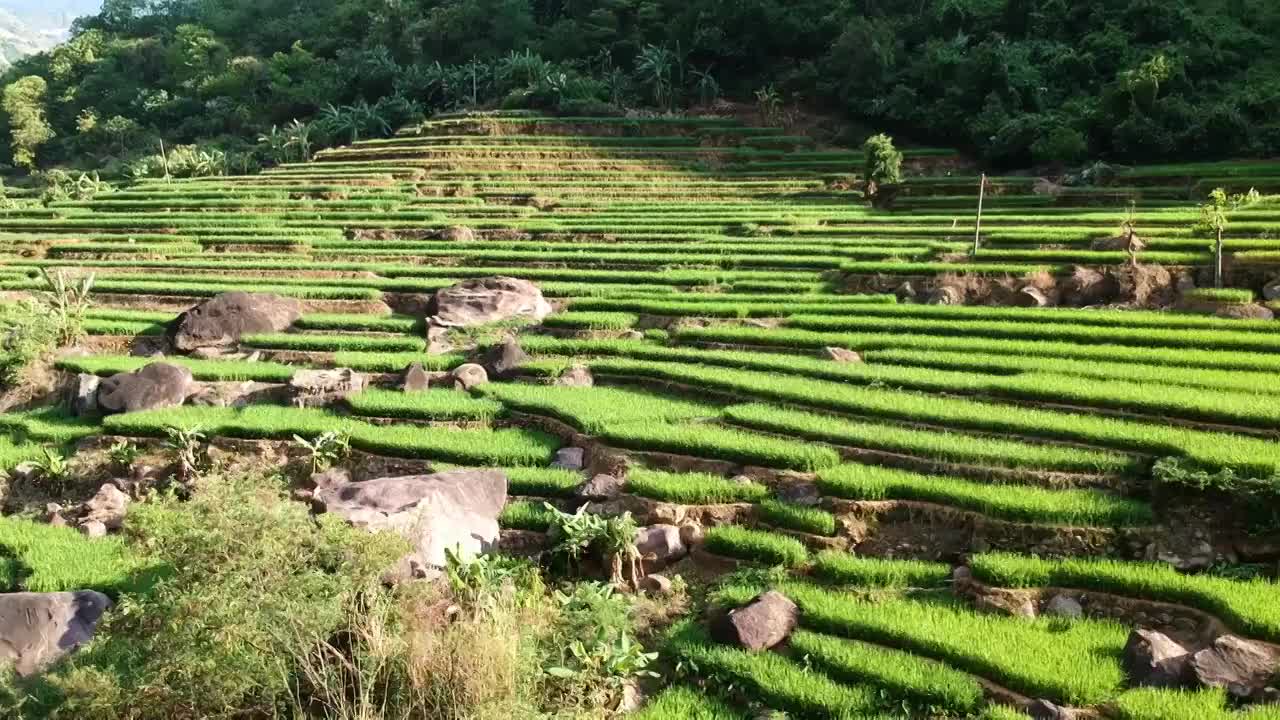 云南省玉溪市元江县梯田风光视频素材